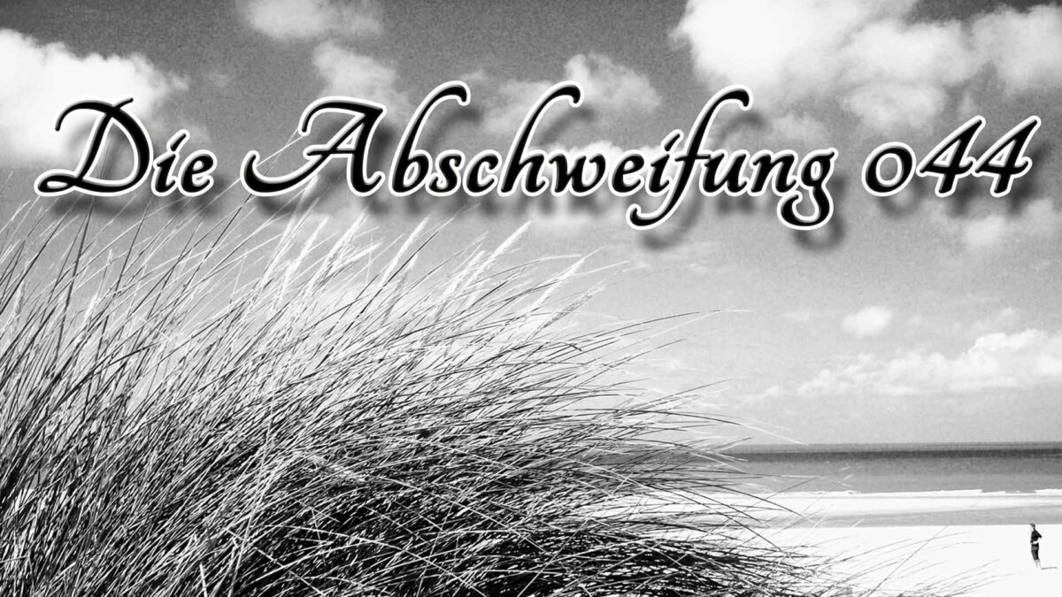 Die Abschweifung 44 Dick(e) Gedanken